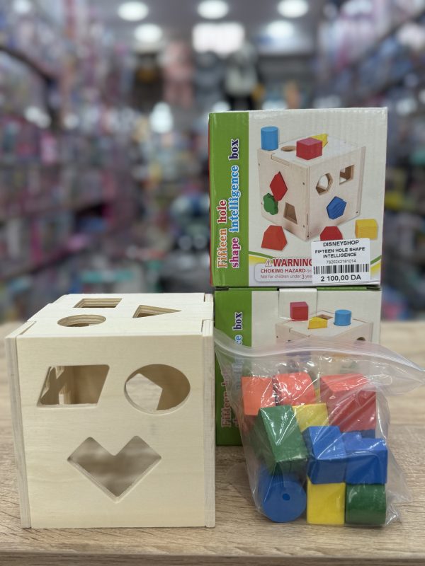 FIFTEEN HOLE SHAPE INTELLIGENCE BOX – Image 2