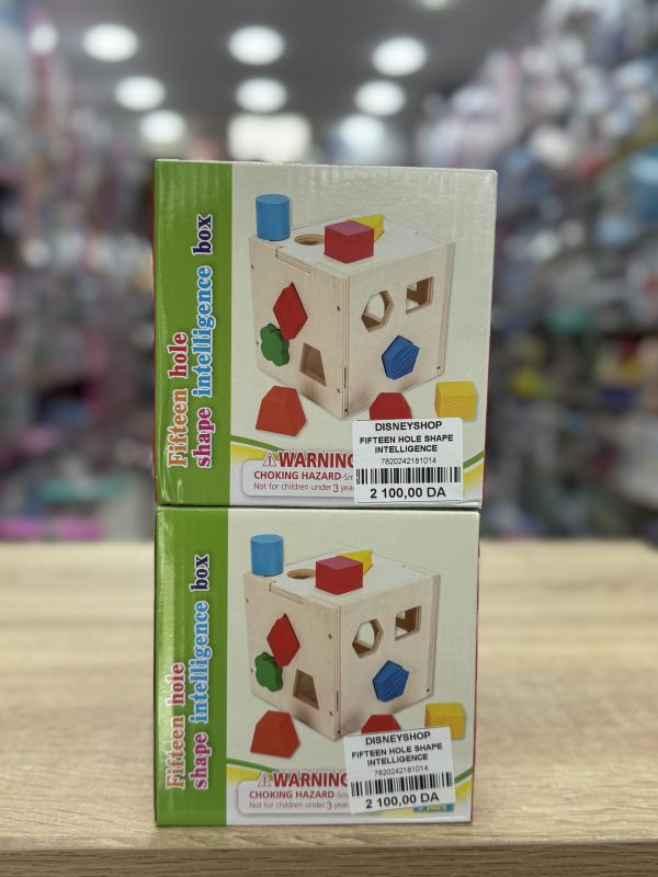 FIFTEEN HOLE SHAPE INTELLIGENCE BOX