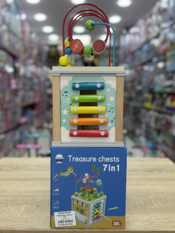 TREASURE CHESTS 7in1